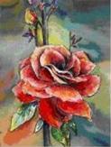 rose