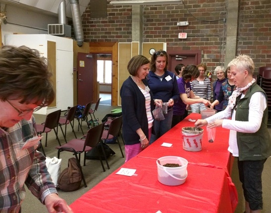 Making Milkweed Seed Balls